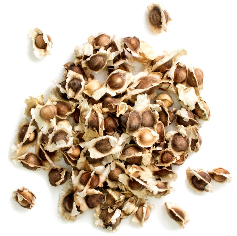 Graines de Moringa