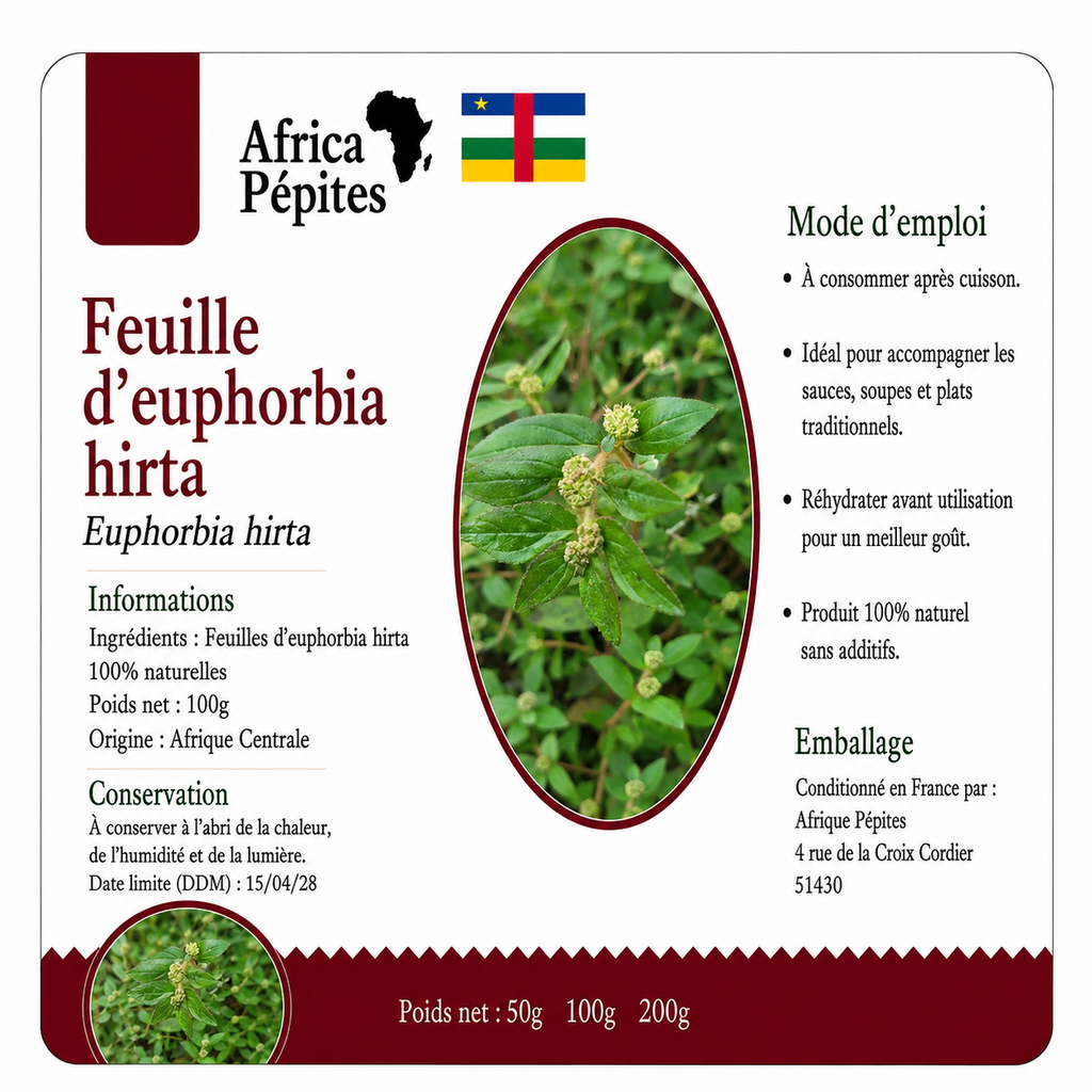 Feuilles séchées d'Euphorbia Hirta