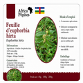 Feuilles séchées d'Euphorbia Hirta