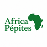 Africa Pépites – Accueil