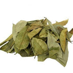 Feuilles de Corossolier séchées