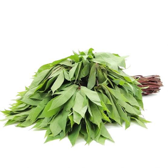 Feuilles Séchées de Manioc