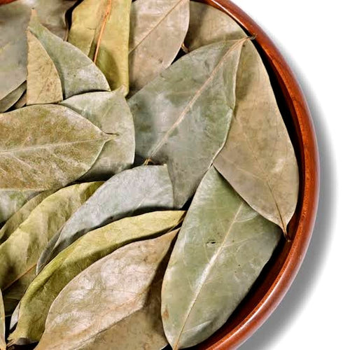 Feuilles de Corossolier séchées