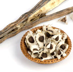 Graines de Moringa