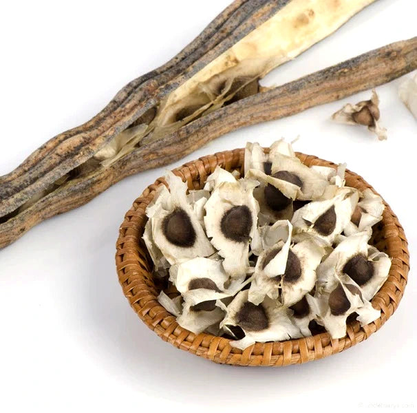 Graines de Moringa