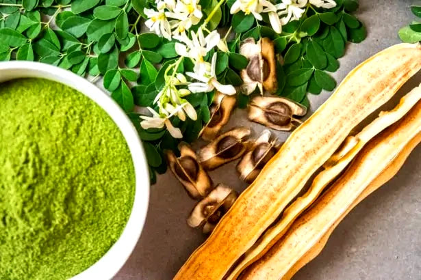 Poudre de Moringa